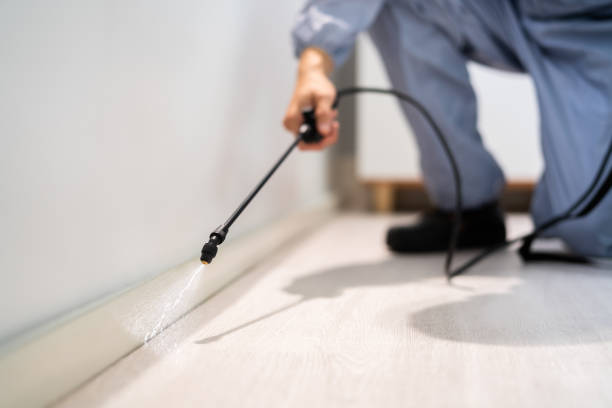 Licensed Pest Control service in Freeland, PA - Show Me Pest Control